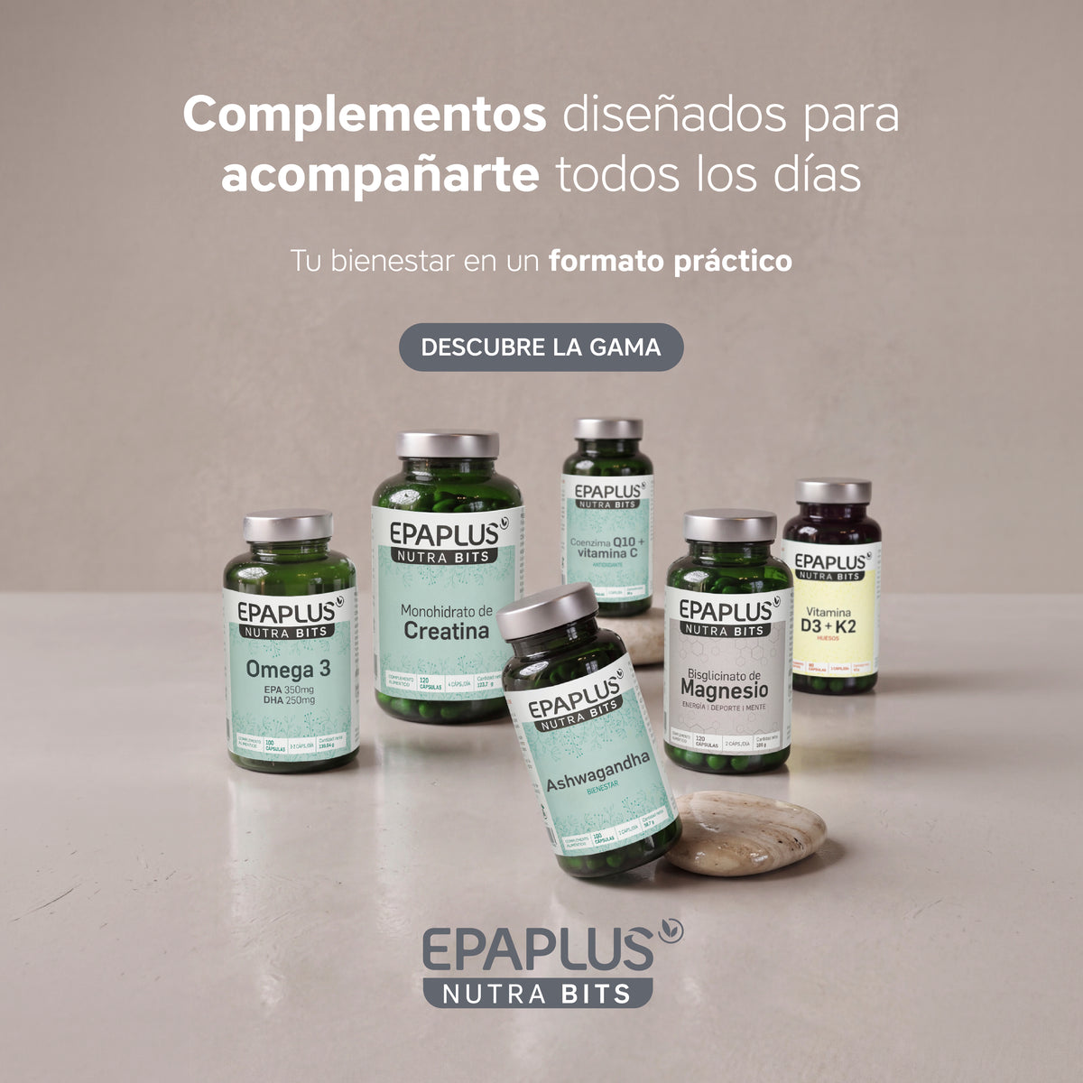 NutraBits Bisglicinato de Zinc